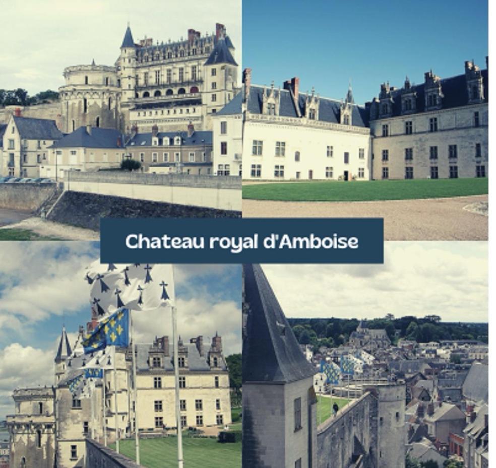 Chambre Fleurs De Lys Proche Zooparc De Beauval Et Des Chateaux De La Loire Couffy 外观 照片
