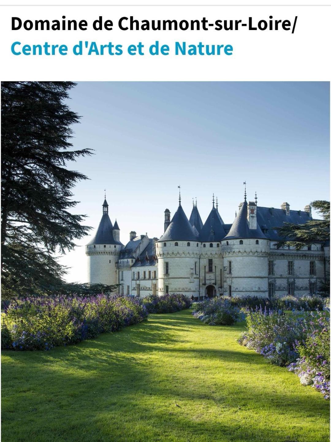 Chambre Fleurs De Lys Proche Zooparc De Beauval Et Des Chateaux De La Loire Couffy 外观 照片